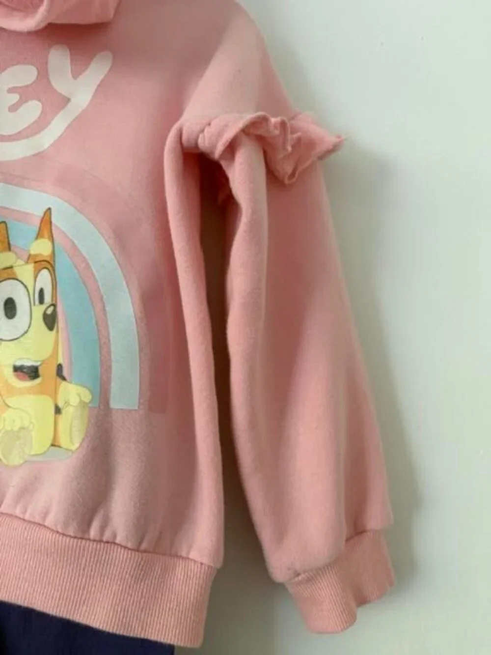 Bluey Bingo Girls 5T Fleece Hoodie & Leggings Set Pink/Purple
